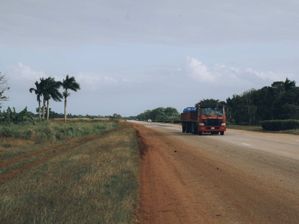 A truck drives down a rural road bordered by palm trees in a tropical area.